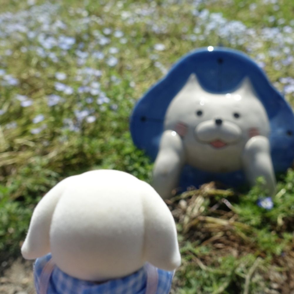 ぱちぽち