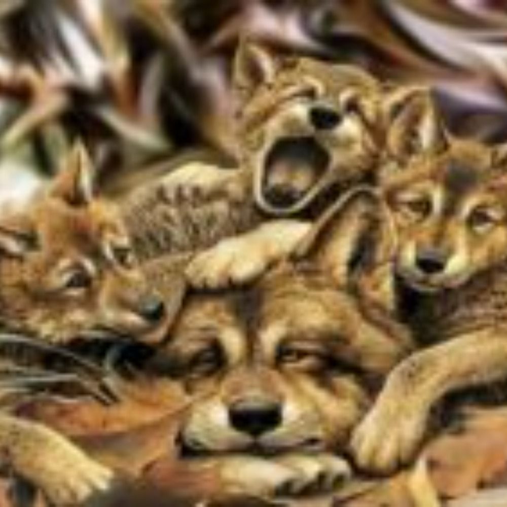 wolfsblood