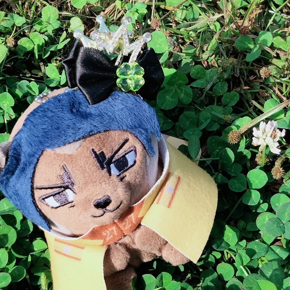 あずき🫘