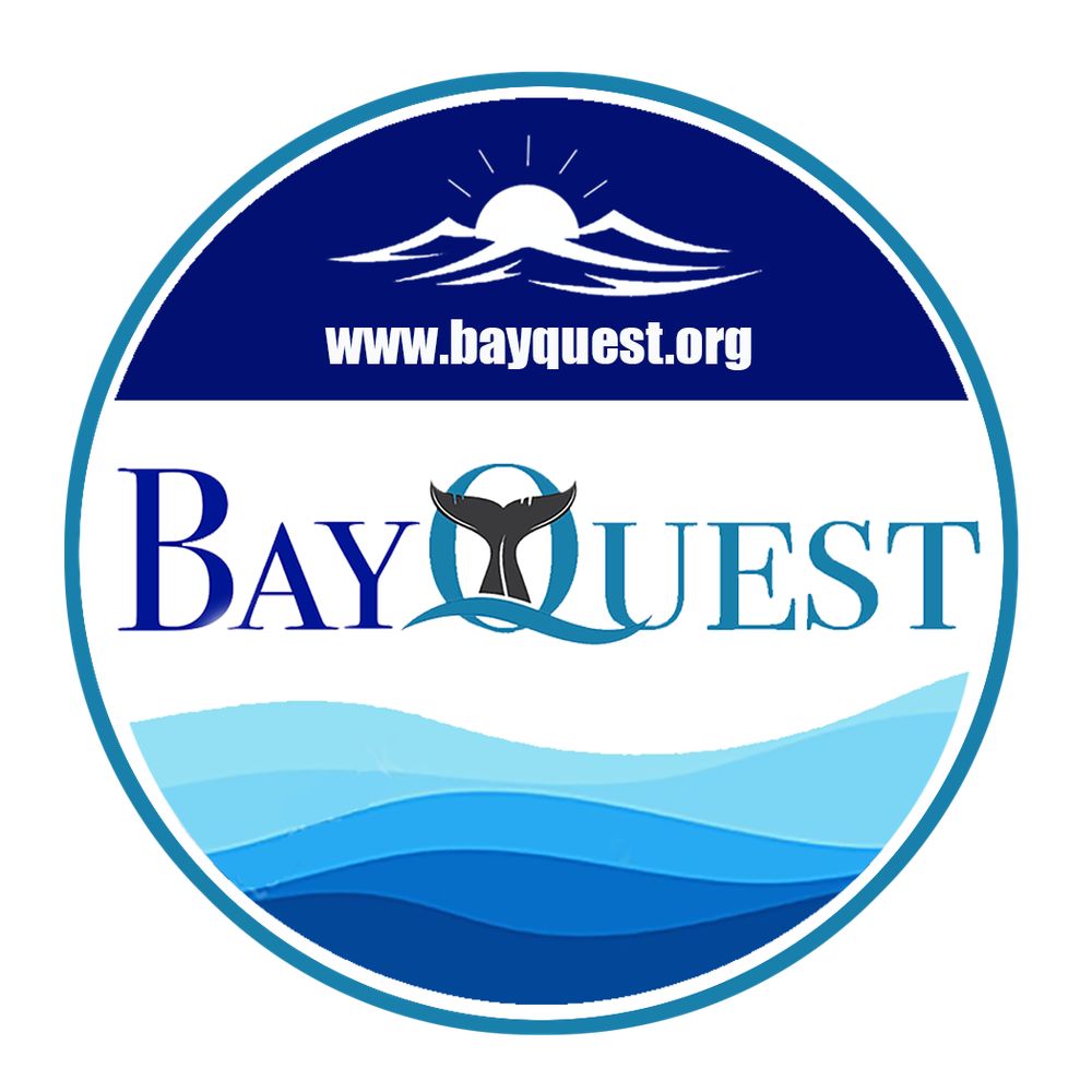 Profile picture bayquest.bsky.social