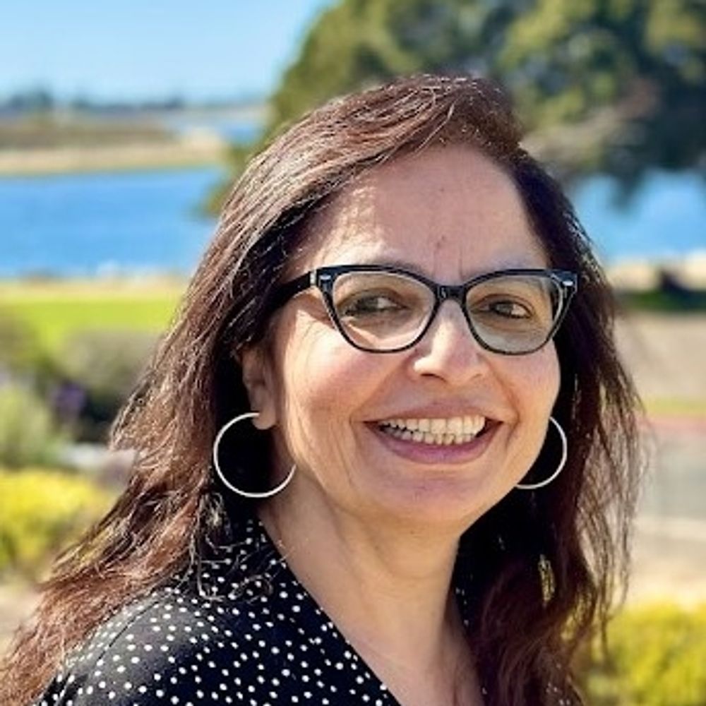 Samina Najmi