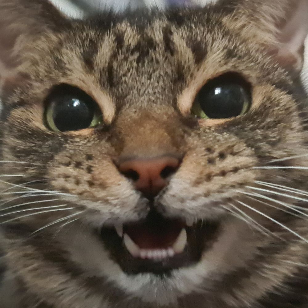 Jack