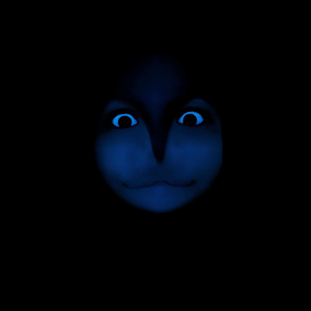 ✧NOCTUA✧