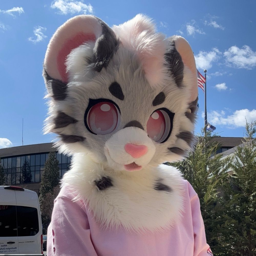 kitty ☆