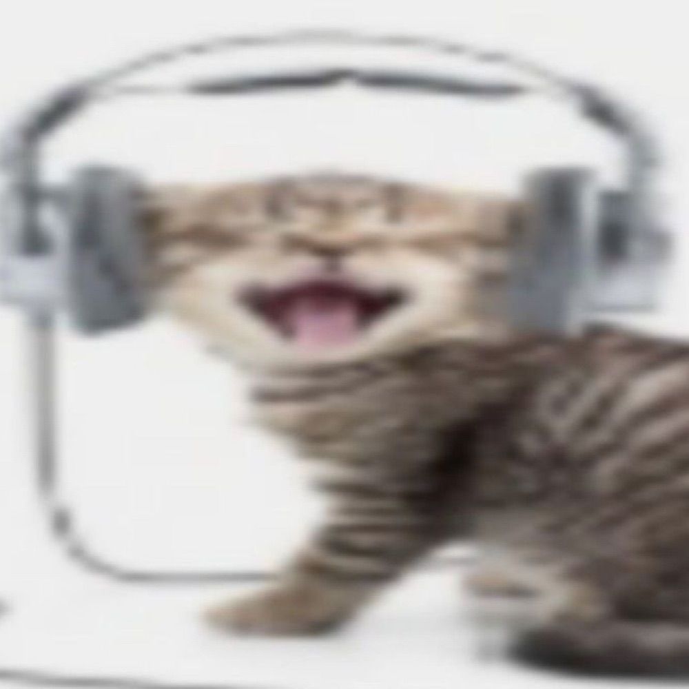 grazi ౨ৎ
