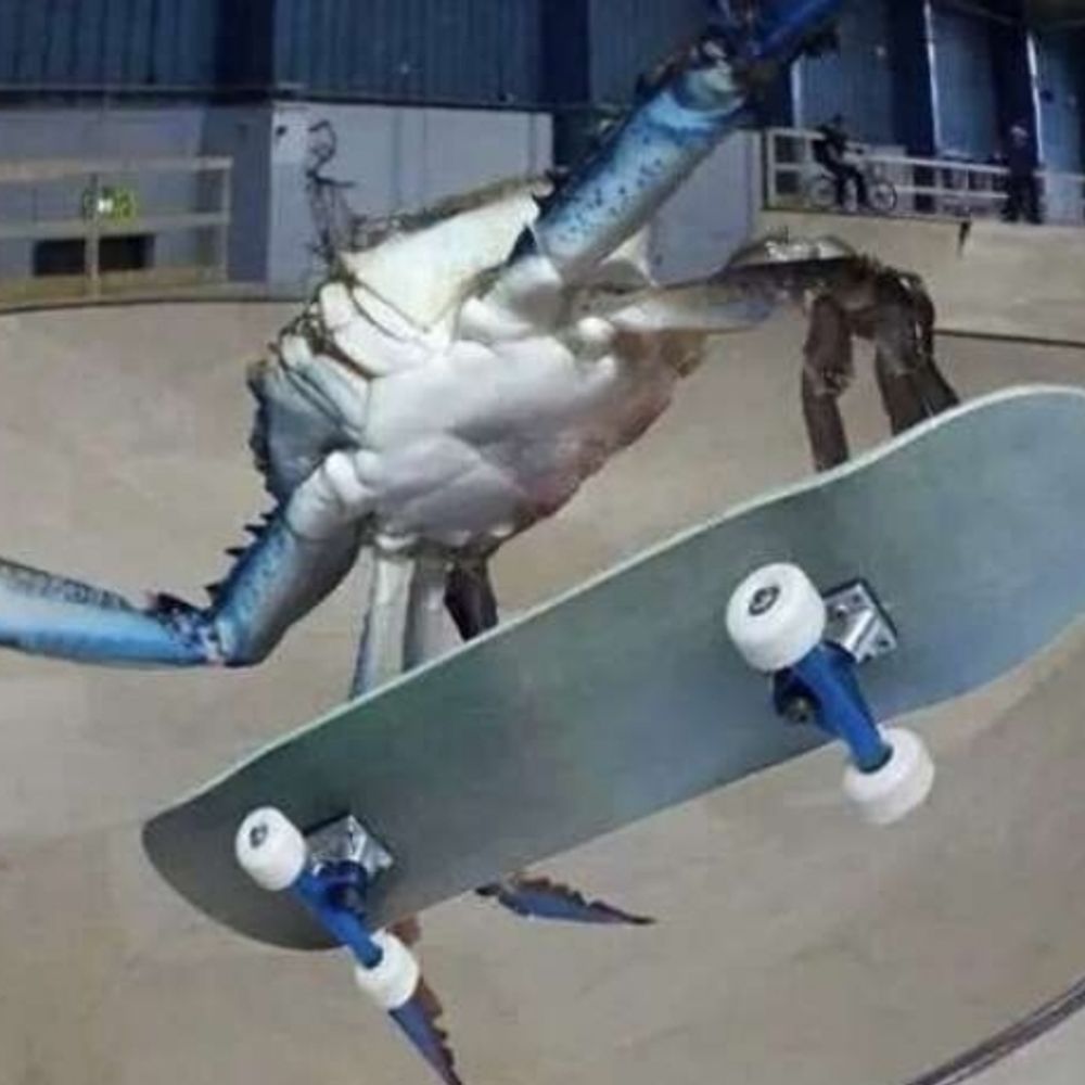 Fellknight