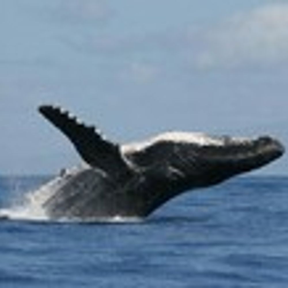 Ctr4BioDiv Ocean