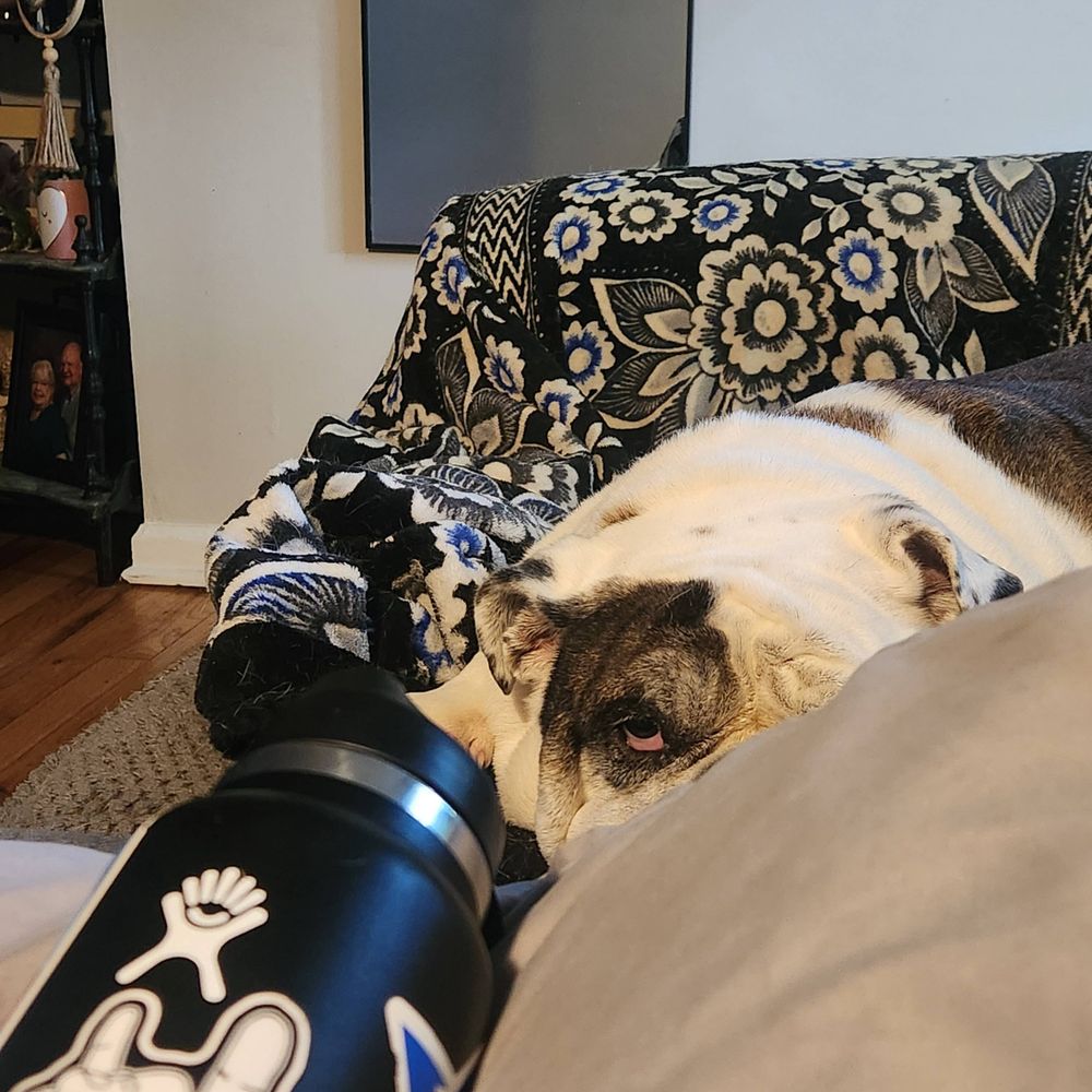 Meatboy