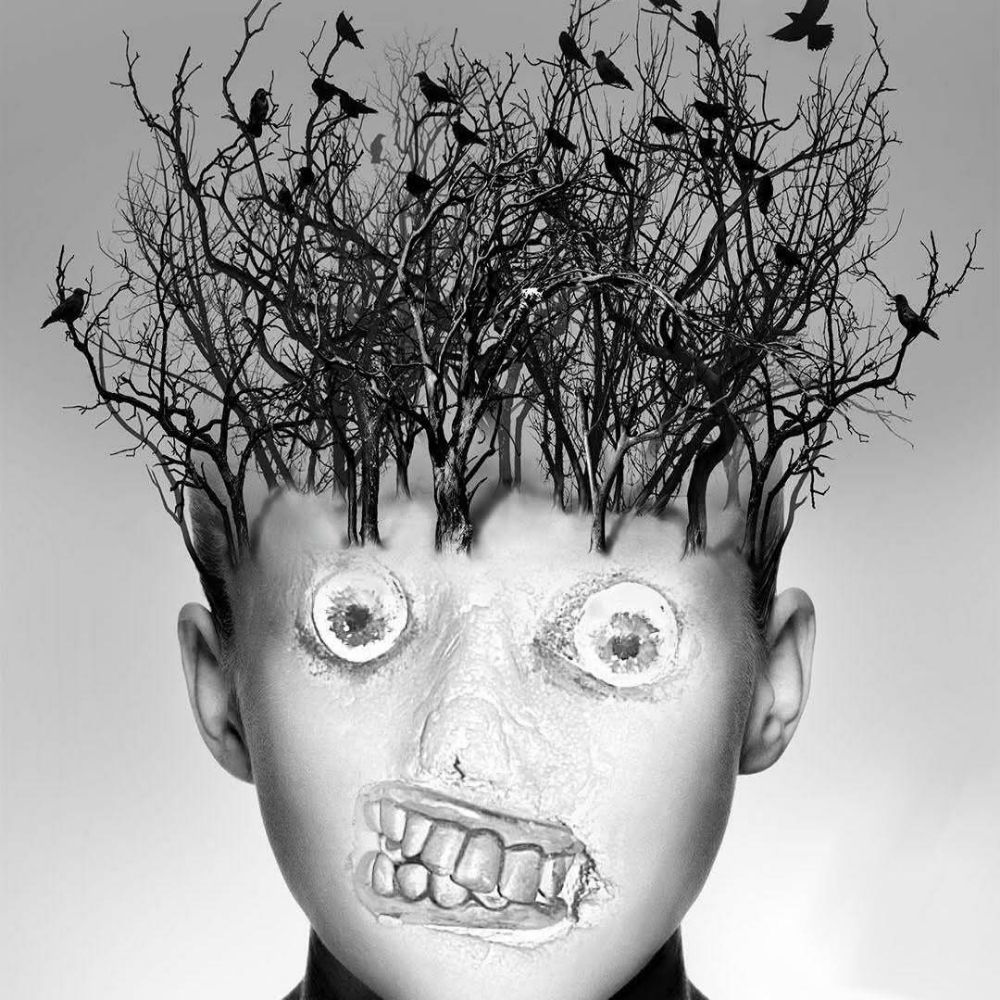 Sally Olster
