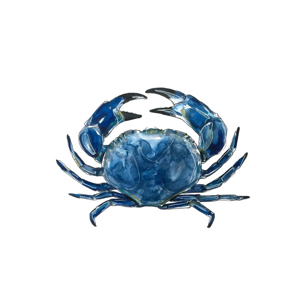 Ali Elly Design's avatar