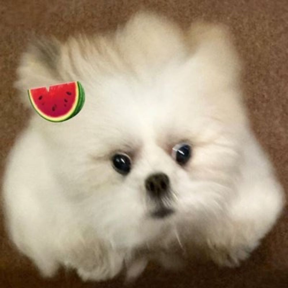 땡모