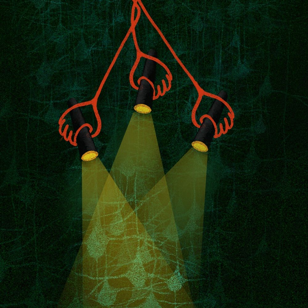 BBO Lab| Small imaging techniques for small freely moving brains