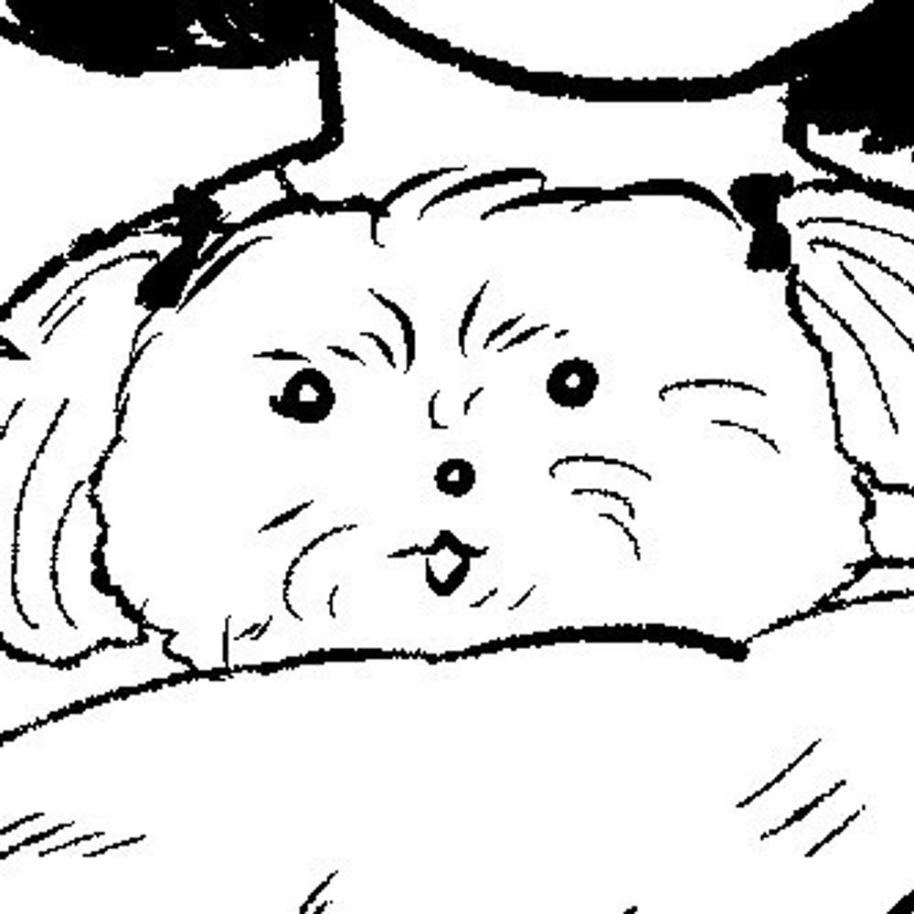 ハトリアヤコ