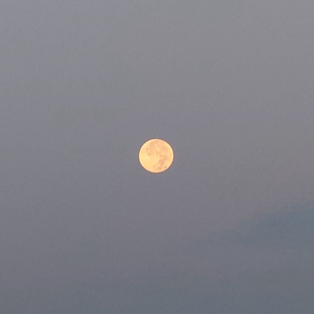 otsukimi