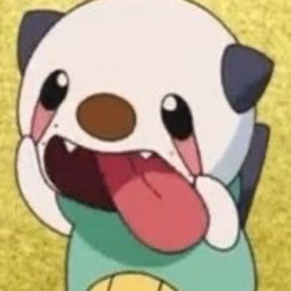 Mr.Oshawott24