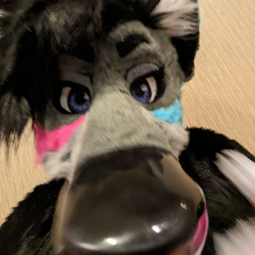 Neonhuo 🔜 MFF