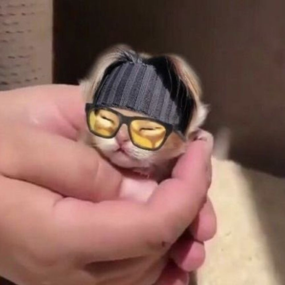 nekovi⁷