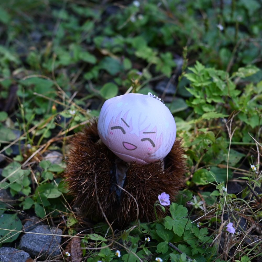 ぴよふうこ🐥🌸