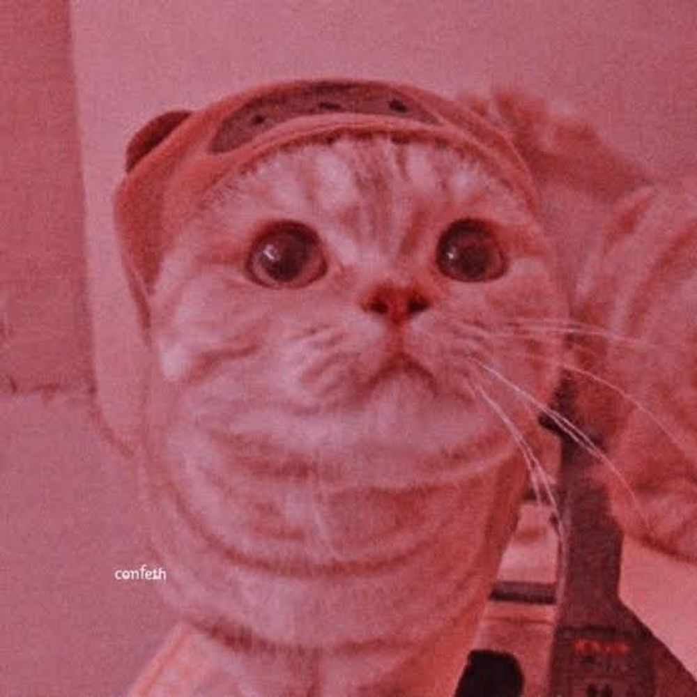 RedKitten :33