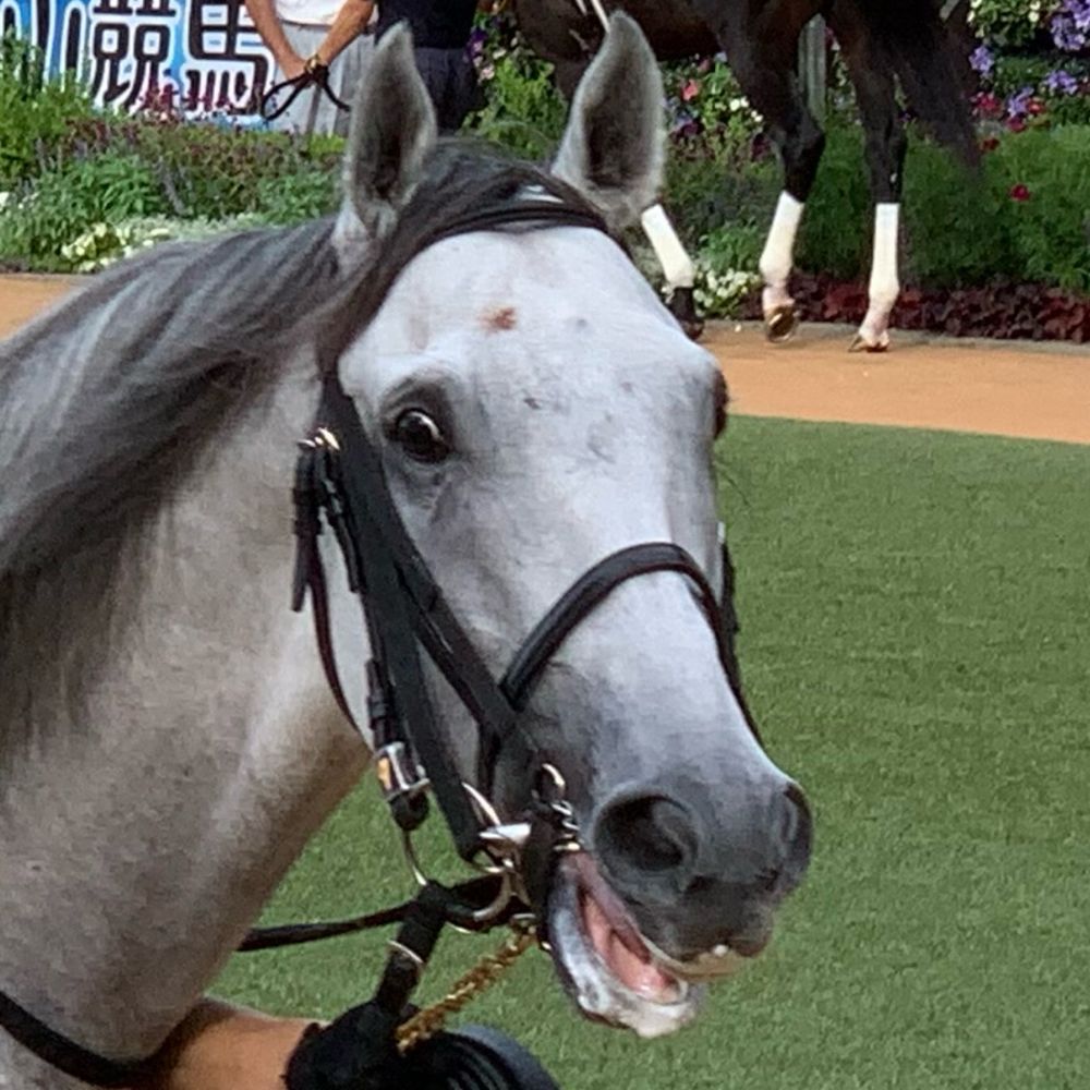 飛田久