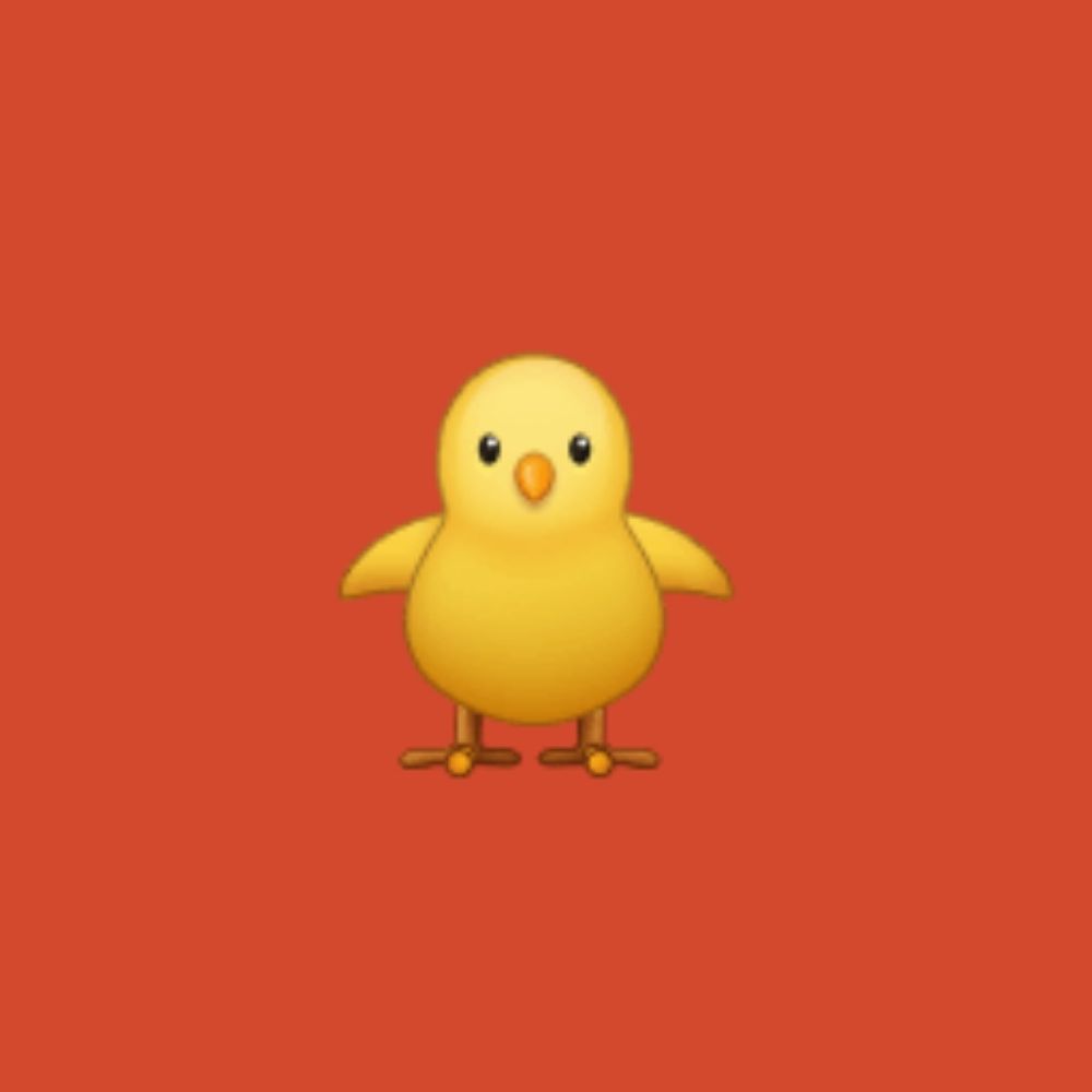 こんにゃく眼鏡