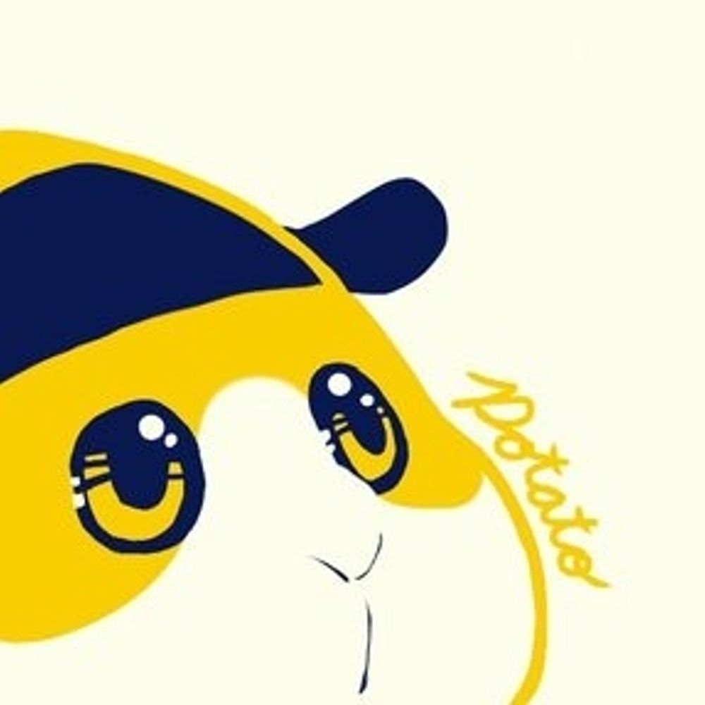 パヲダ
