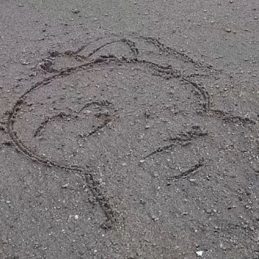 なおは