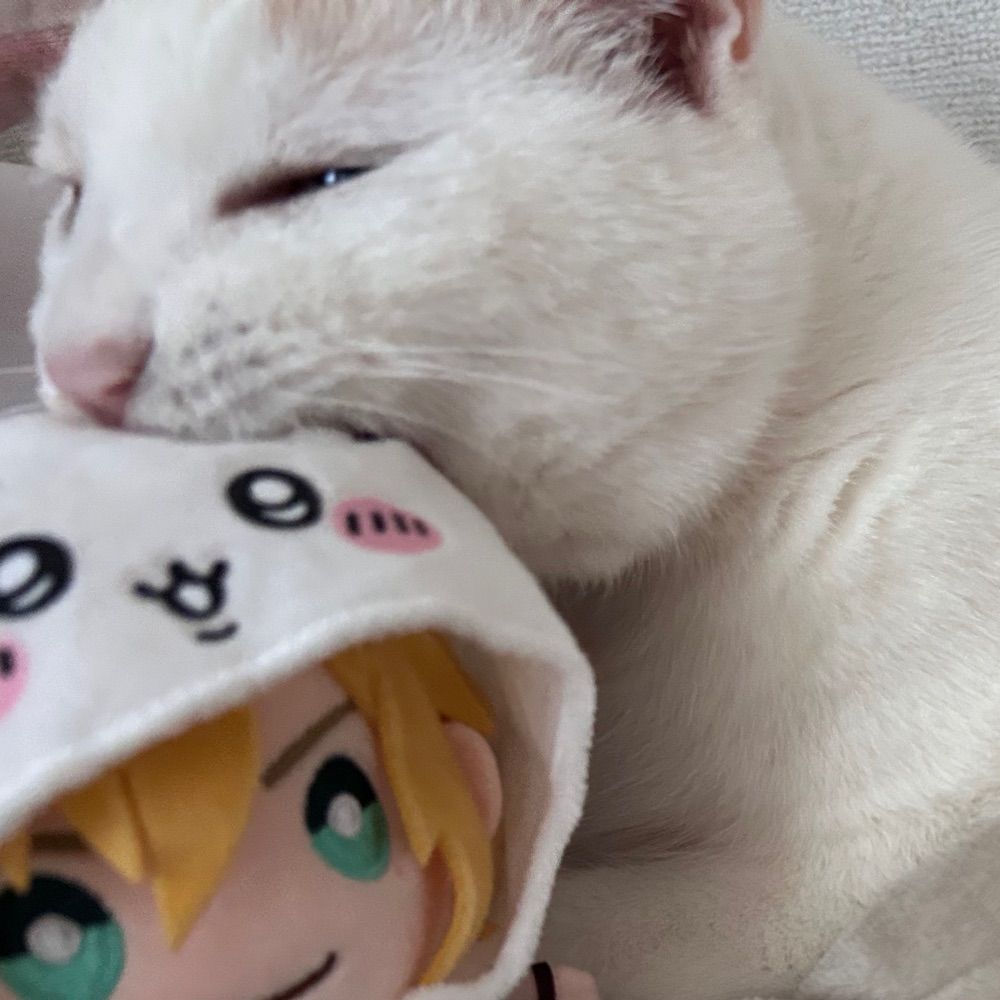春巻