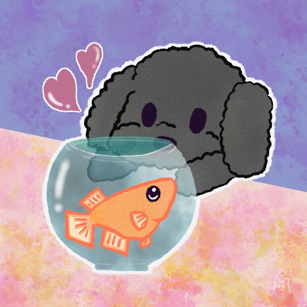 クロス