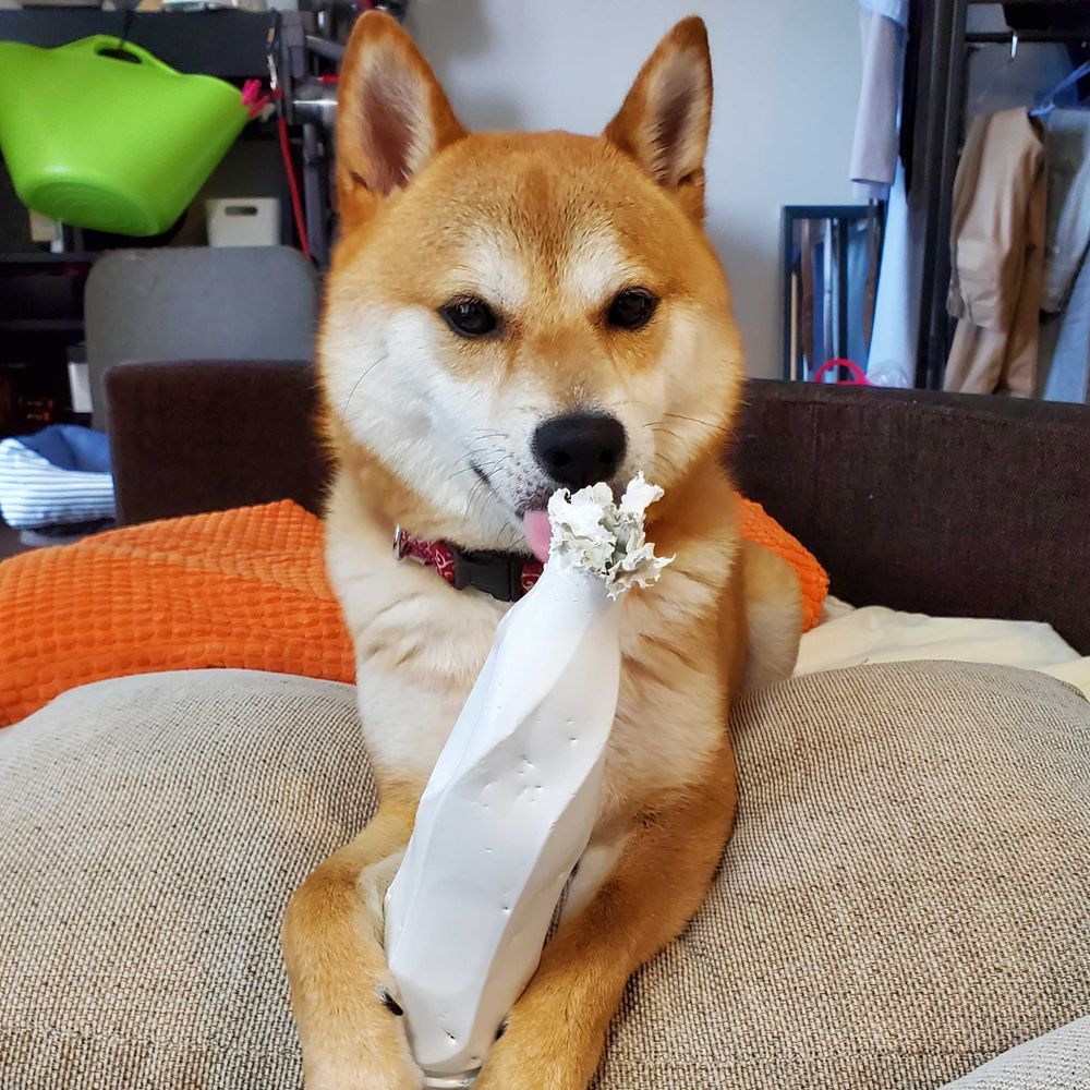 まめしば？ムー