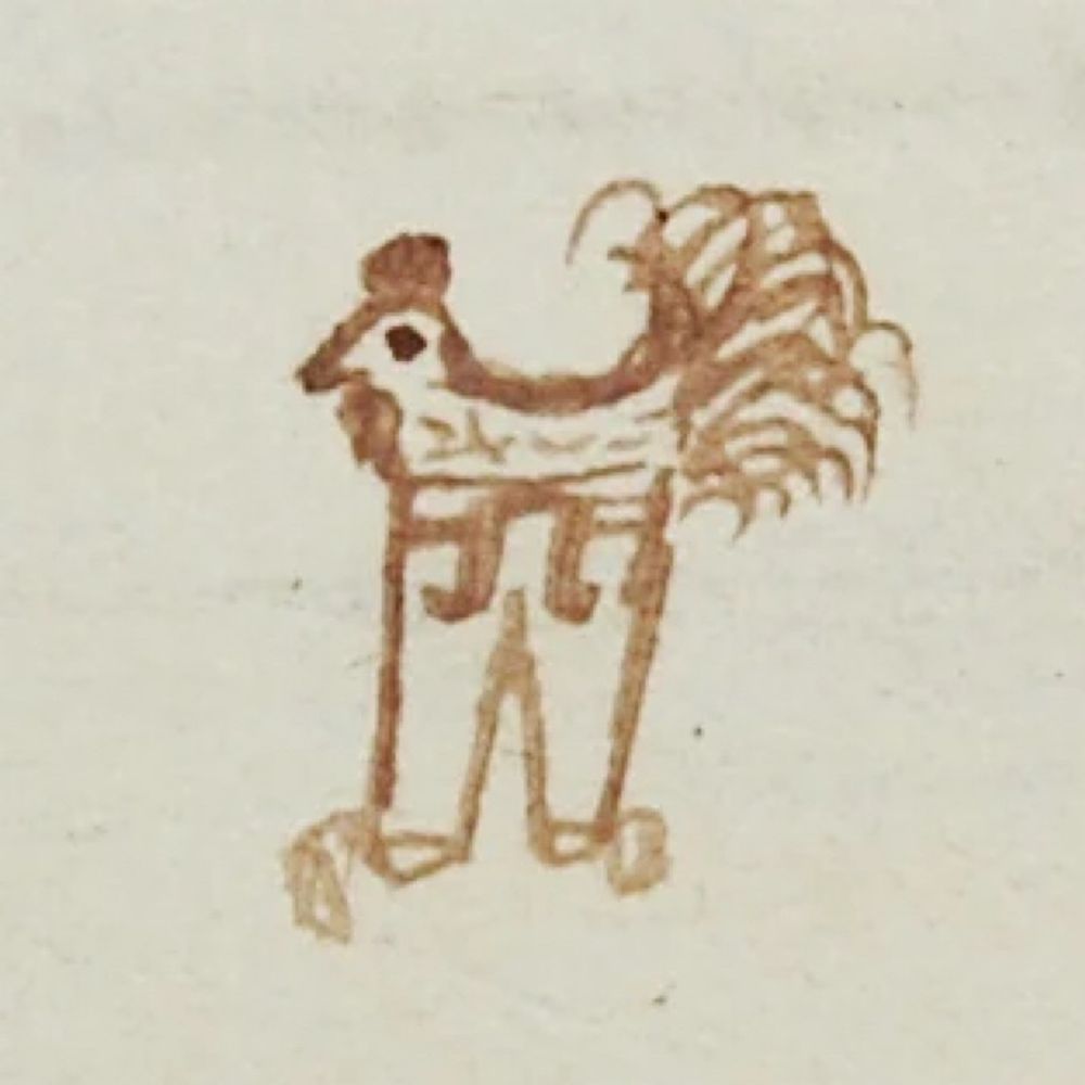 uschickens