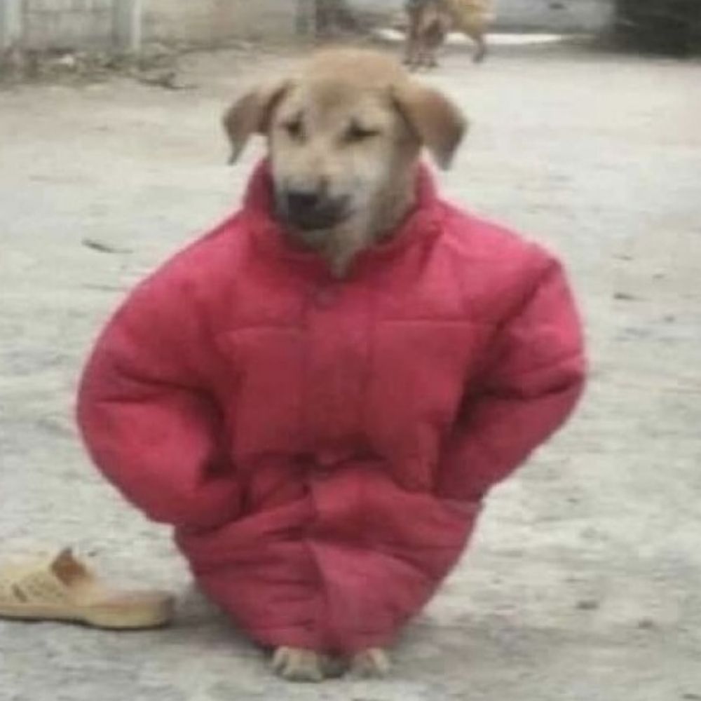 바나나를쿠다사이