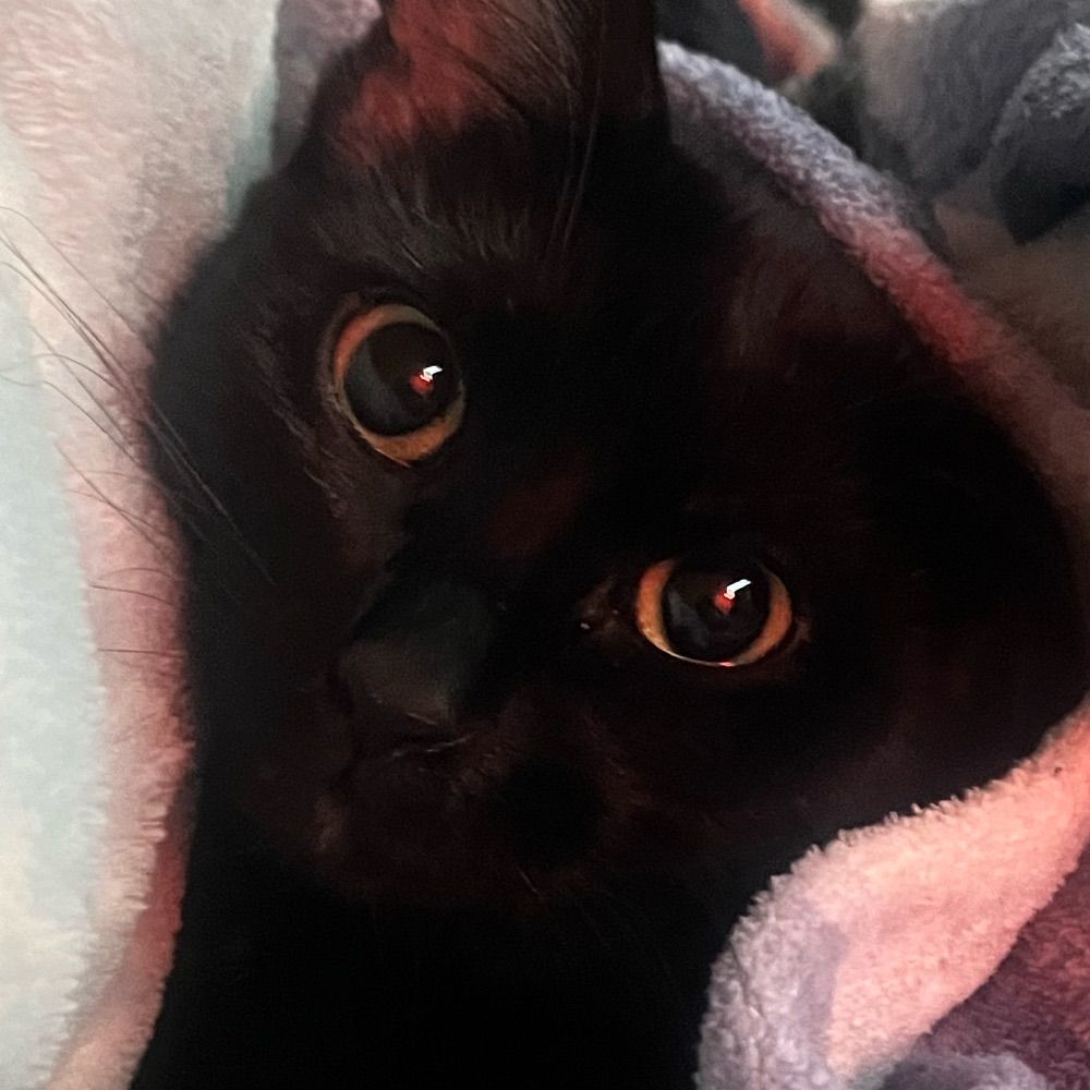 ••• awky •••