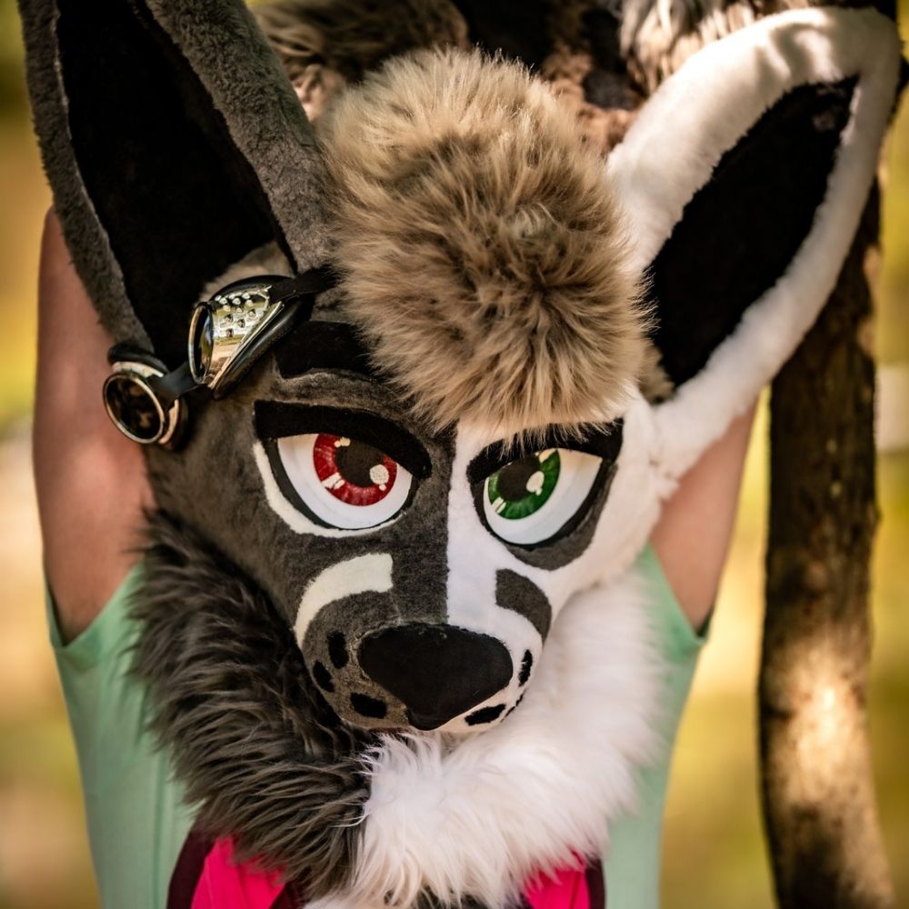Schrodinger 🦊