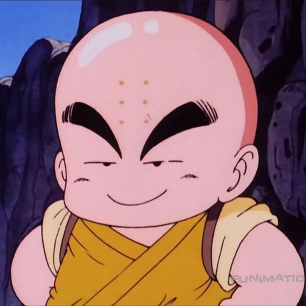 Krillin Enthusiast 