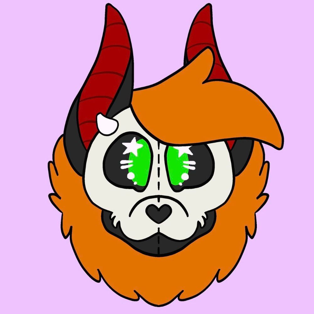 Socket the Bugaboo