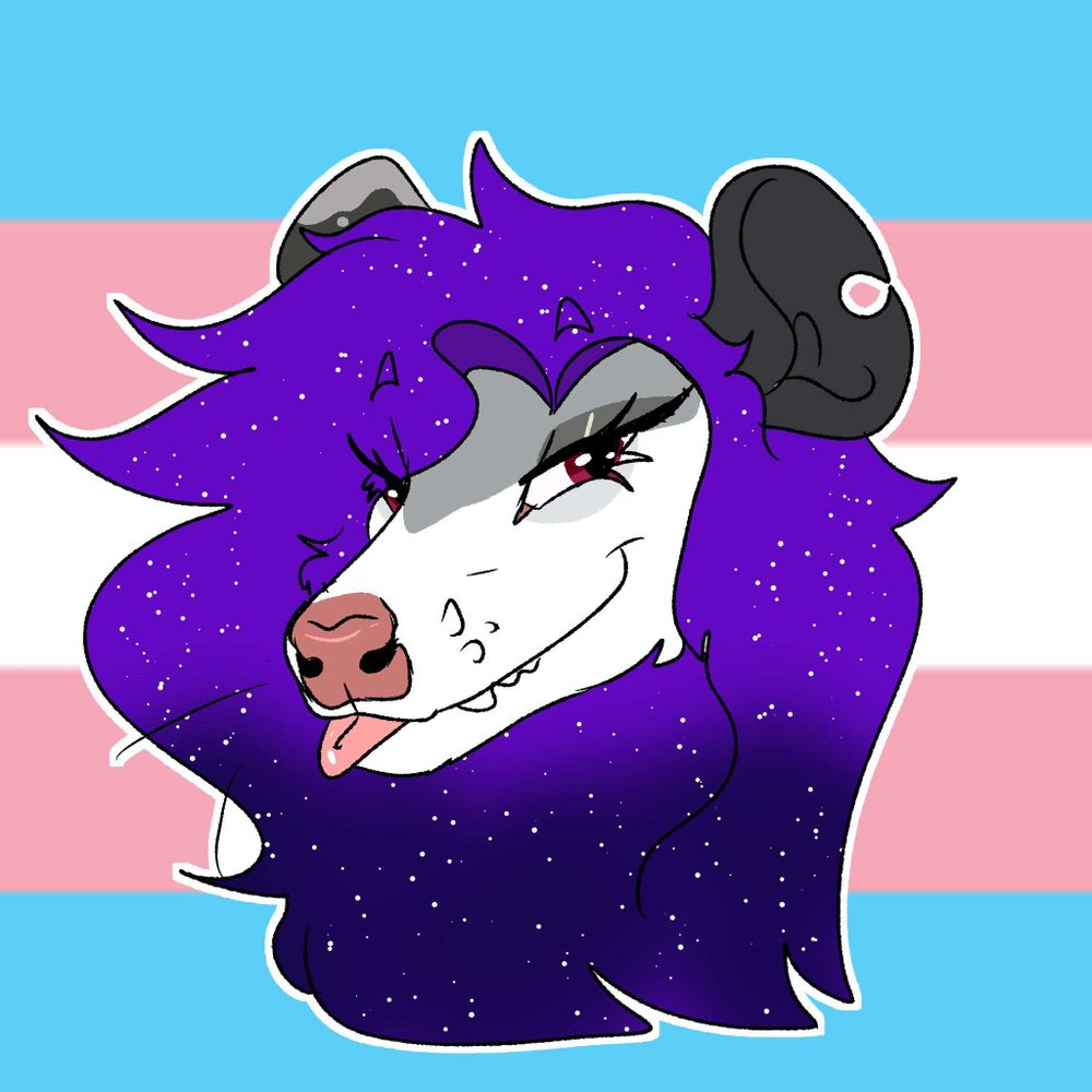 🏳️‍⚧️ Trixie The Trash Opossum 🏳️‍⚧️