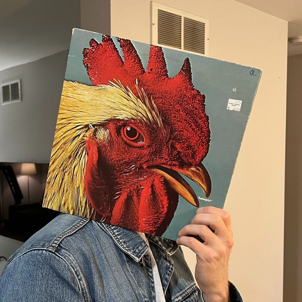 Pro-odd
