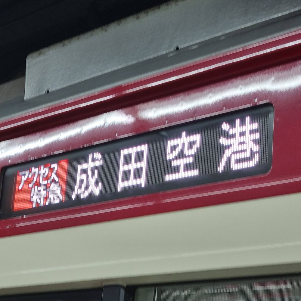 マグロ🐟