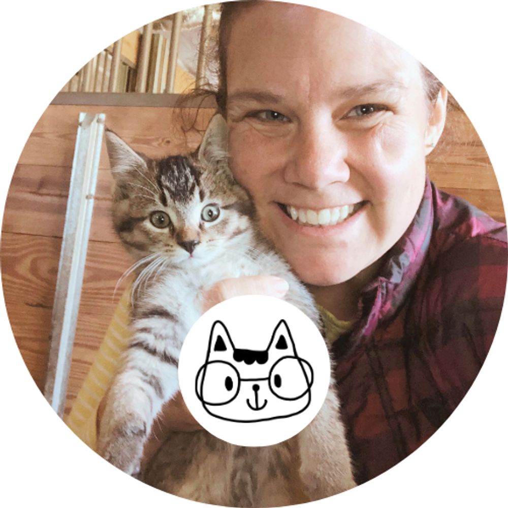 Alisa - Minneapolis, MN Cat Sitter