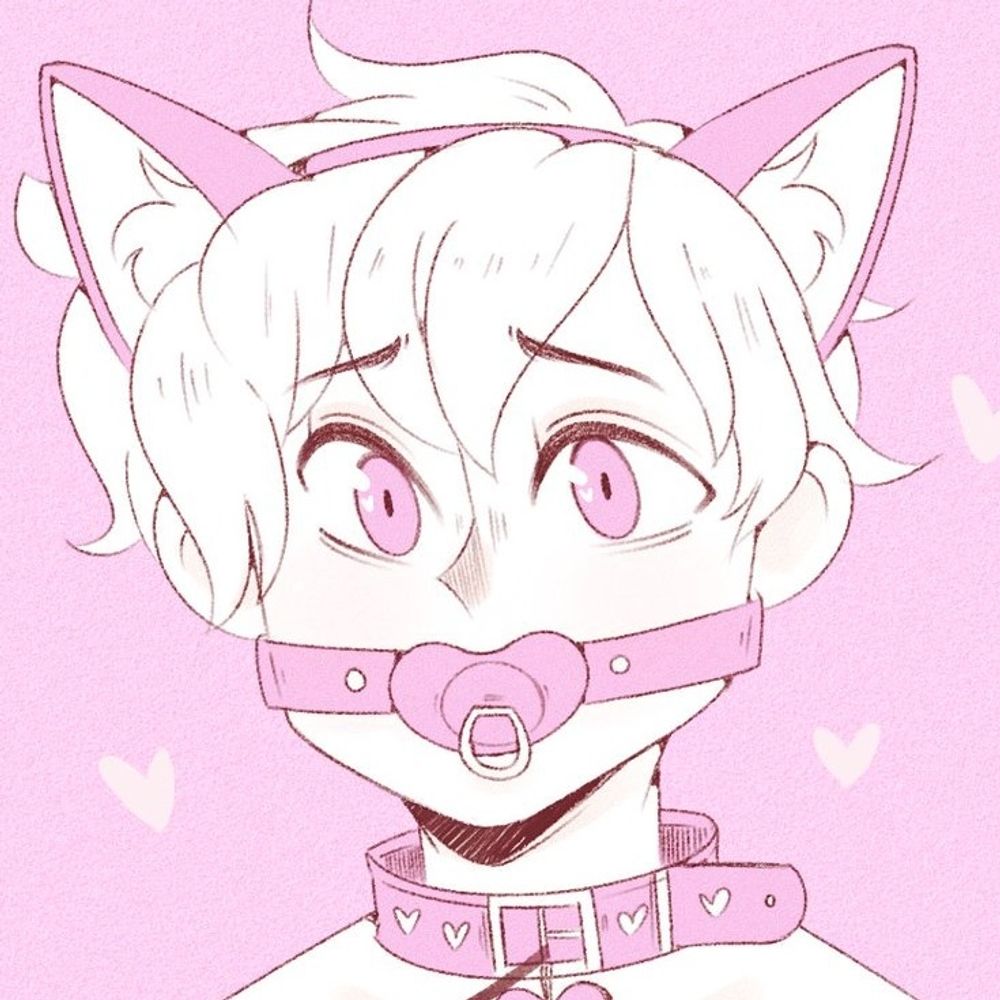 Sammy ʕ⁠ ⁠ꈍ⁠ᴥ⁠ꈍ⁠ʔ