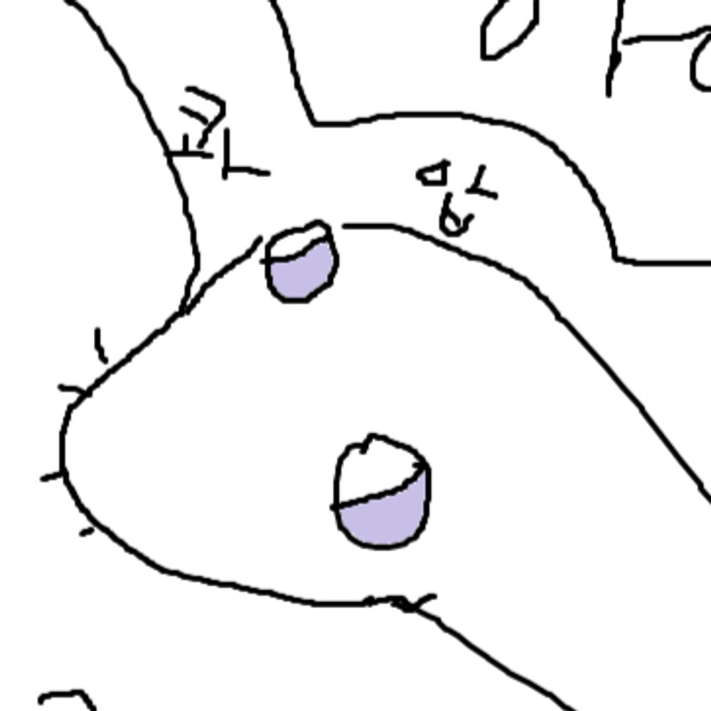콘콘