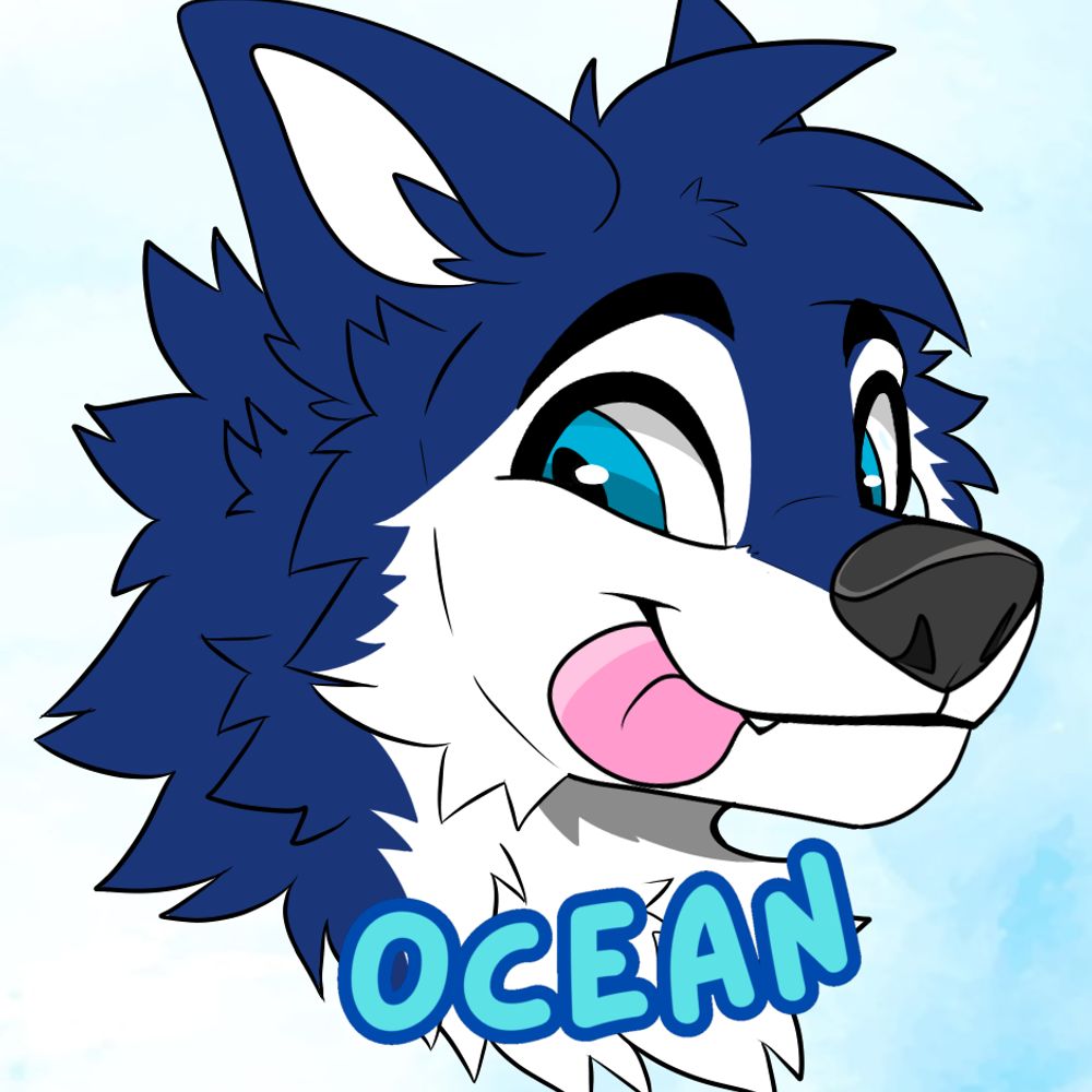OceanTheHusky