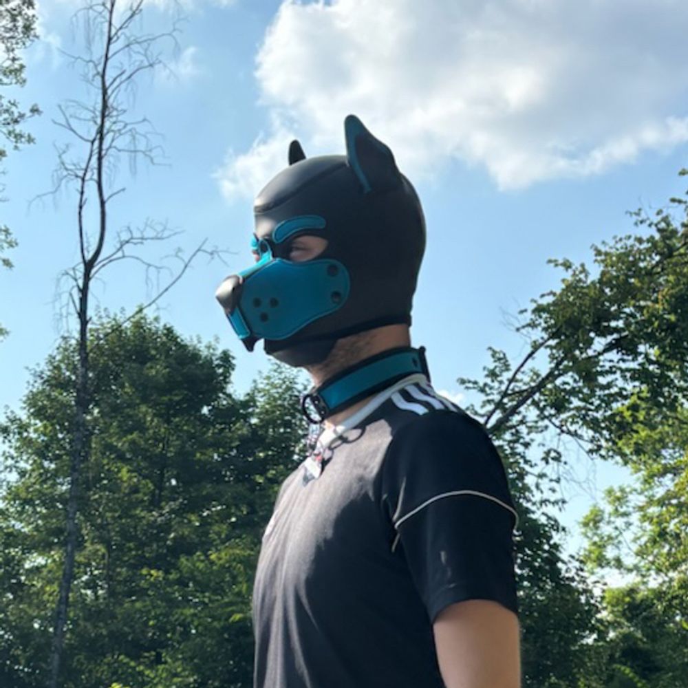 Pup Lupo