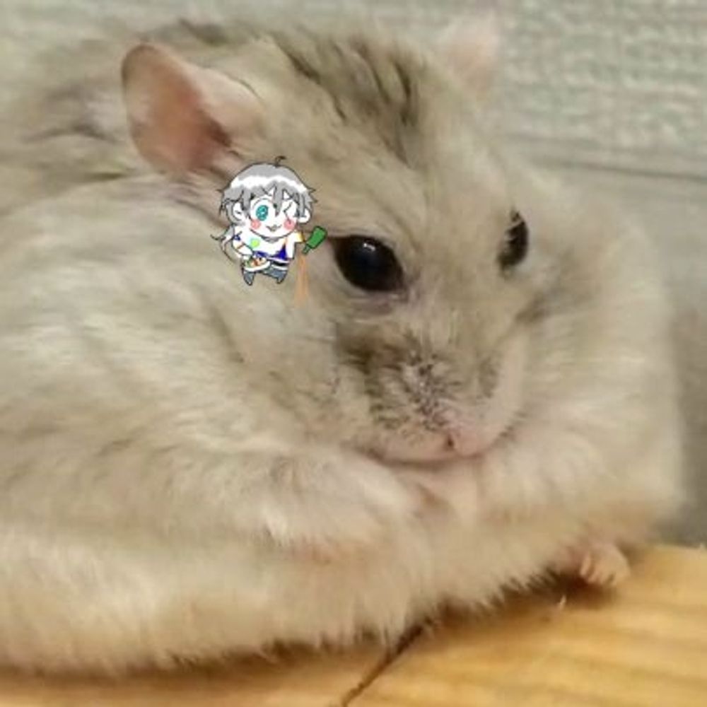 오지햄콤