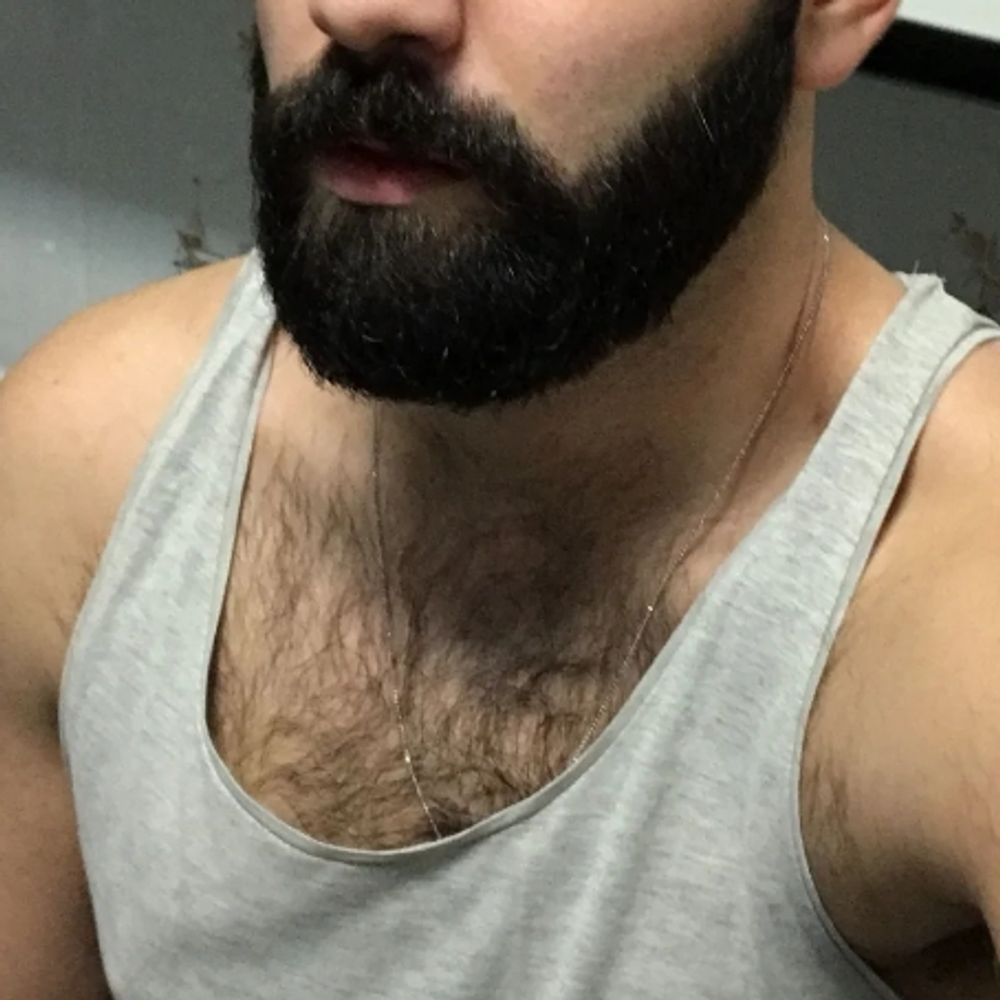 Dom Daddy Brody