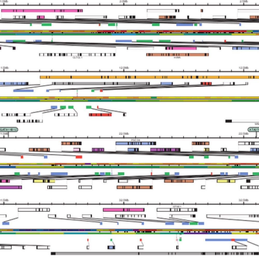 Guigó Lab