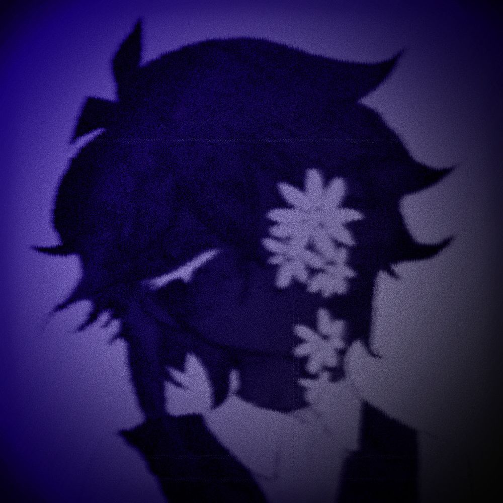 aster.