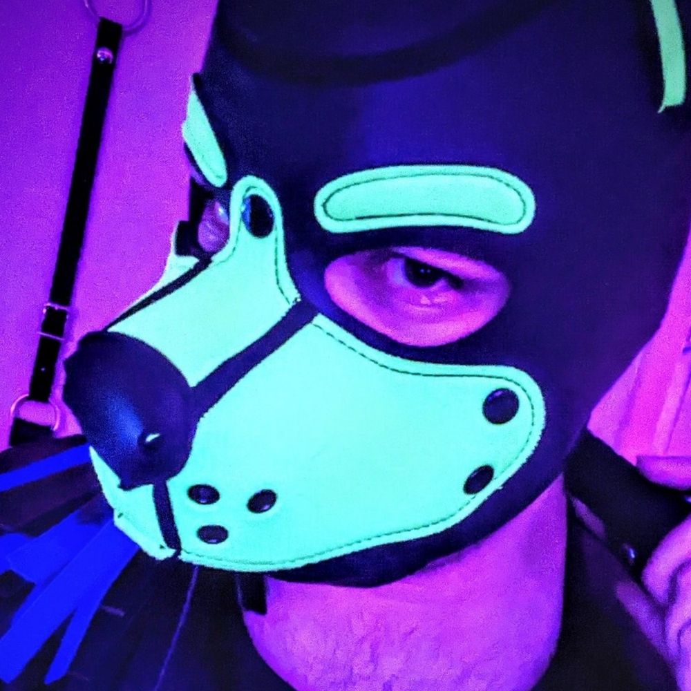 ⚡ Pup Flux ⚡