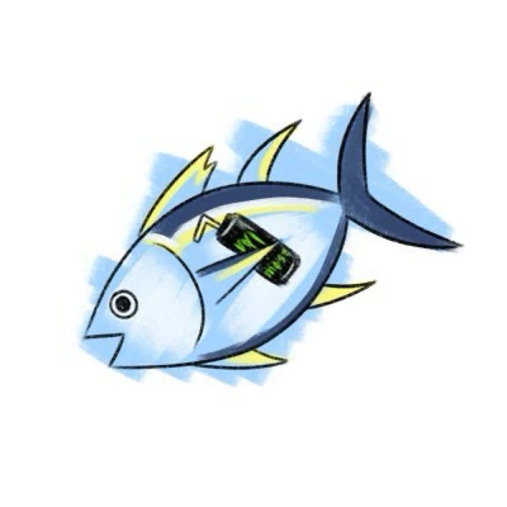 참치🐟